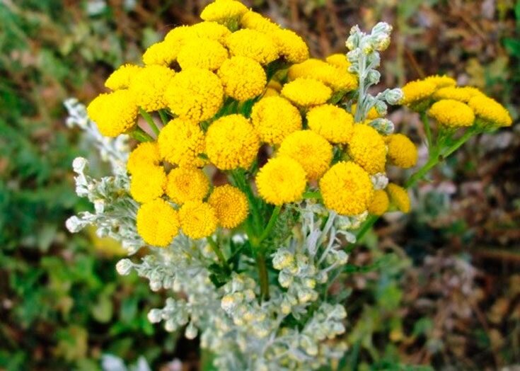 Подписывайся на канал, если статья понравилась - ставь лайк