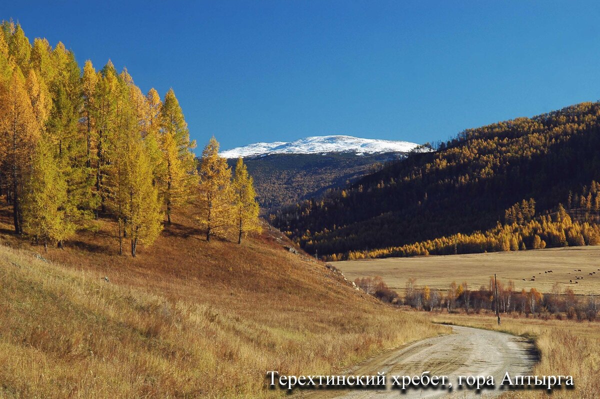 Дорога по долине реки Теньга. Вид на гору Аптырга. Фото Ольга Шадрина