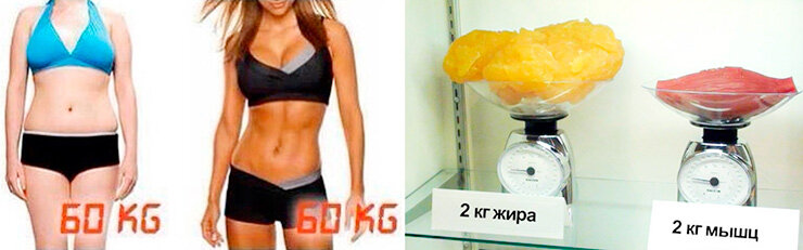 источник фото diet.boltai.com/wp-content/uploads/sites/9/2019/01/cd81b809774d082d6b906c108af62cc6.jpg