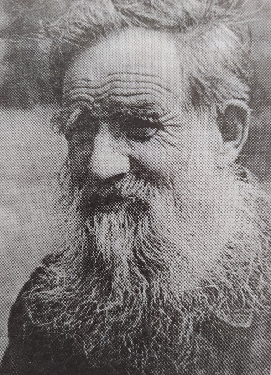 Лесник Желтов