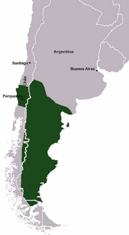 Земли мапуче, которые вошли в состав Королевства Араукания и Патагония.