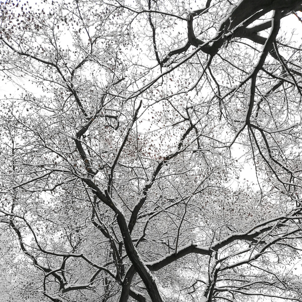 фото из личного архива