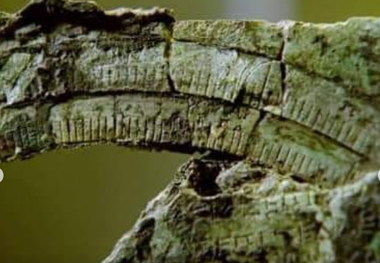 часы прошлого или будущего