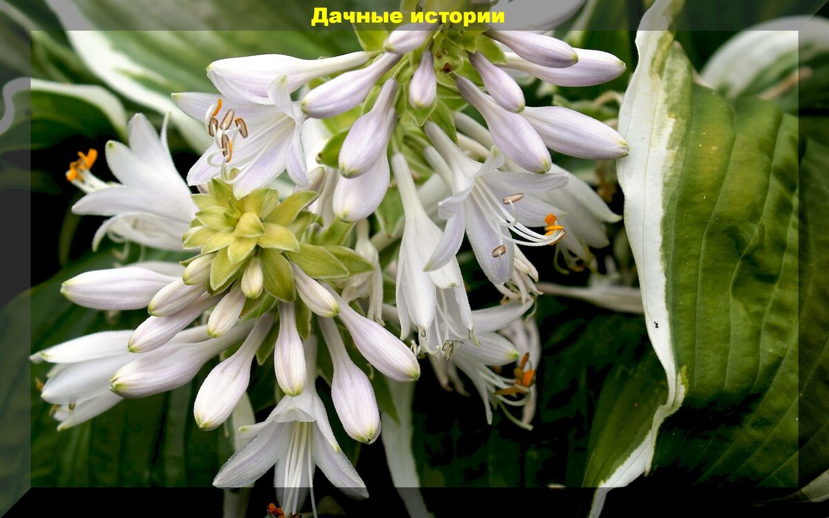 https://vk.com/photo-159774511_457245553