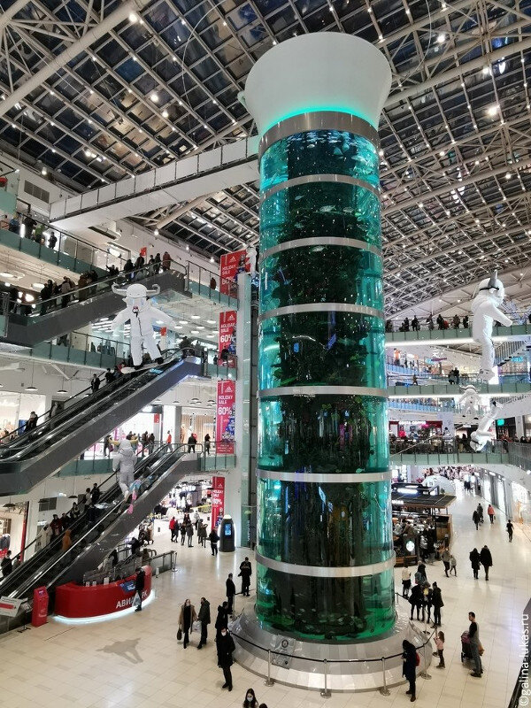 Вид на аквариум со второго этажа. Фото автора