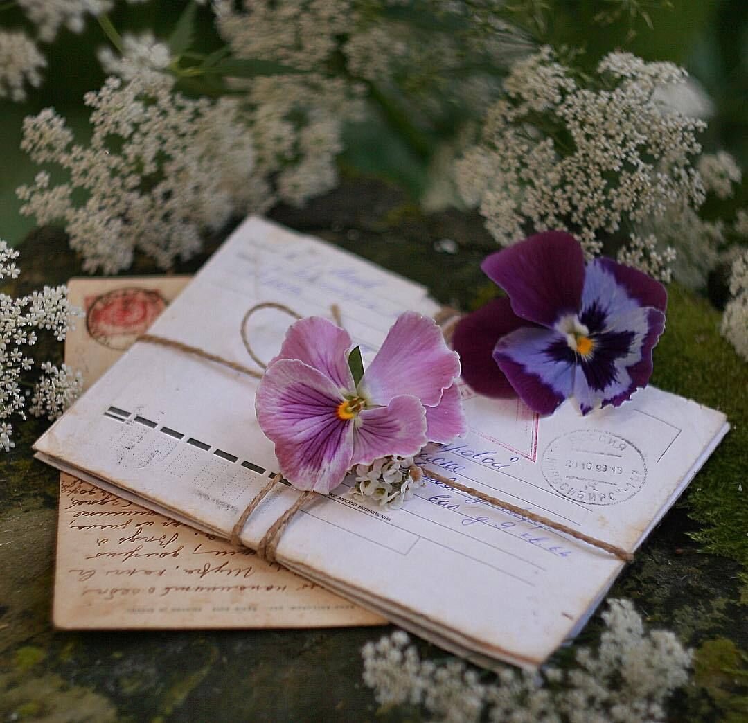 Яндекс.Картинки