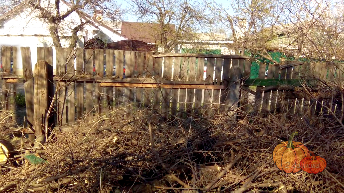 Такой вот нам достался забор. Дунь упадет. Ветки это мы уже напилили.