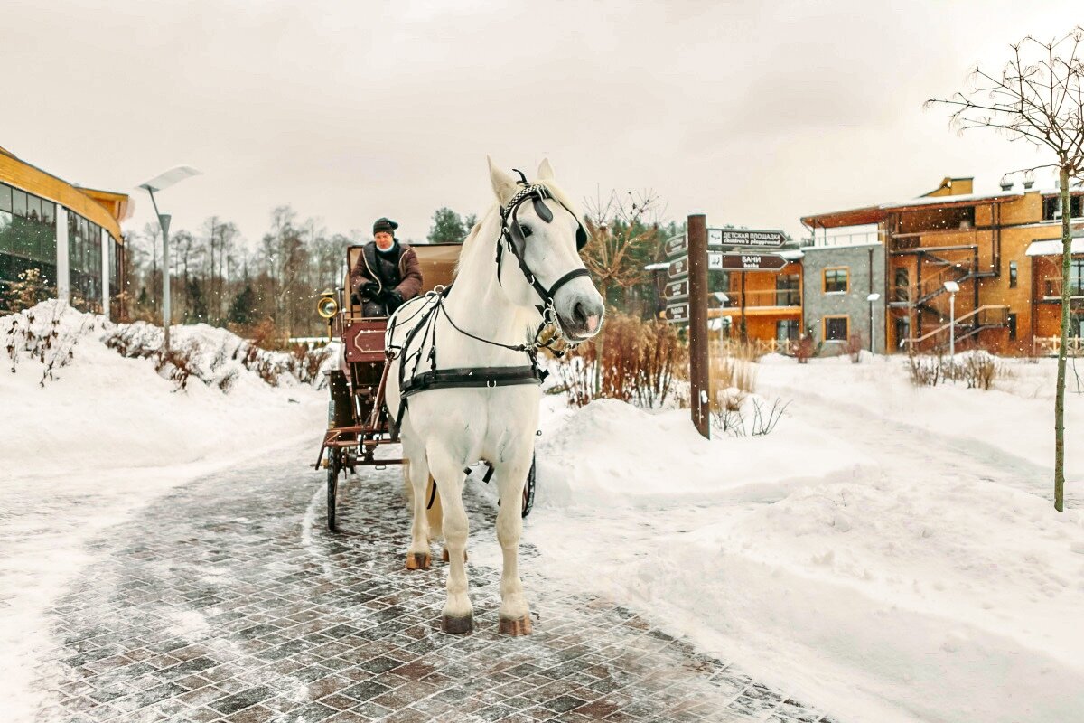 Фото: arti-land.ru