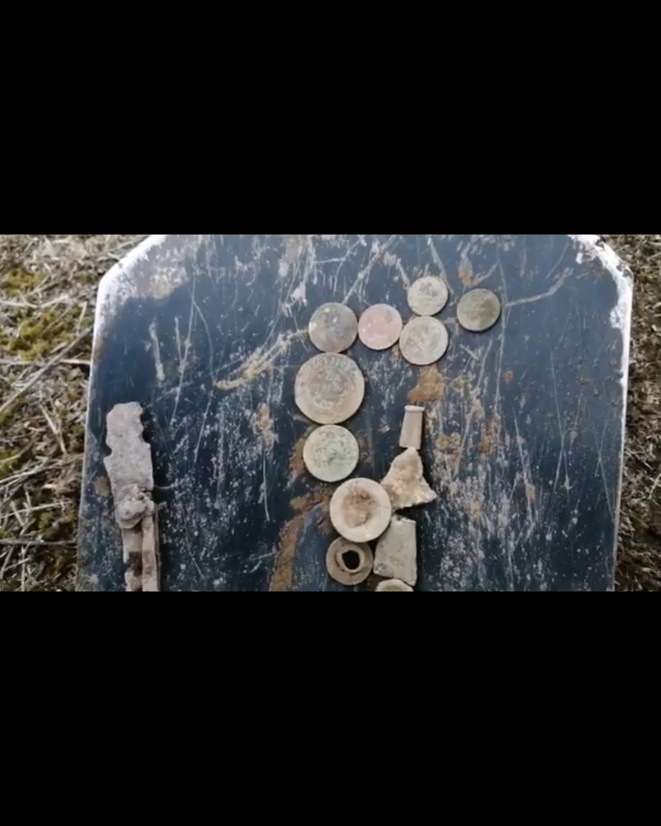 Общая добыча за день поисков