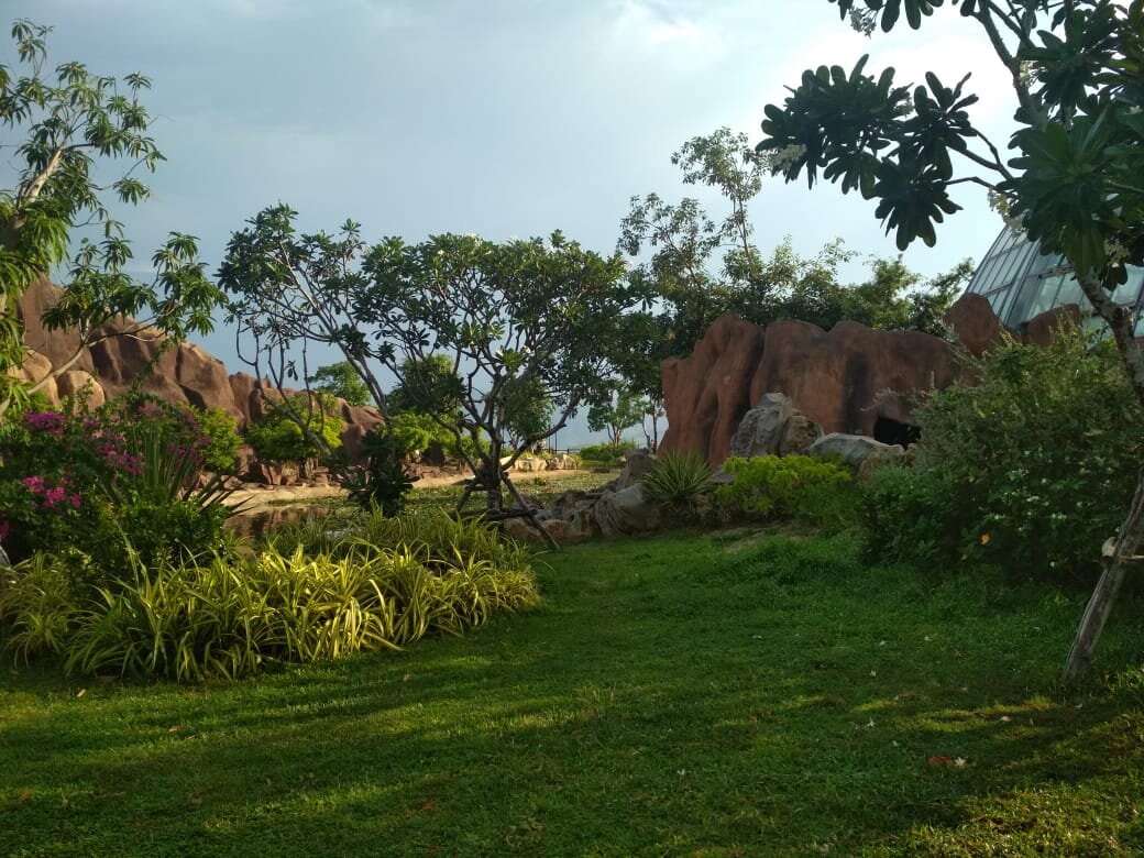 Вот с такими пейзажами можно работать, если вы фрилансер во Вьетнаме! 