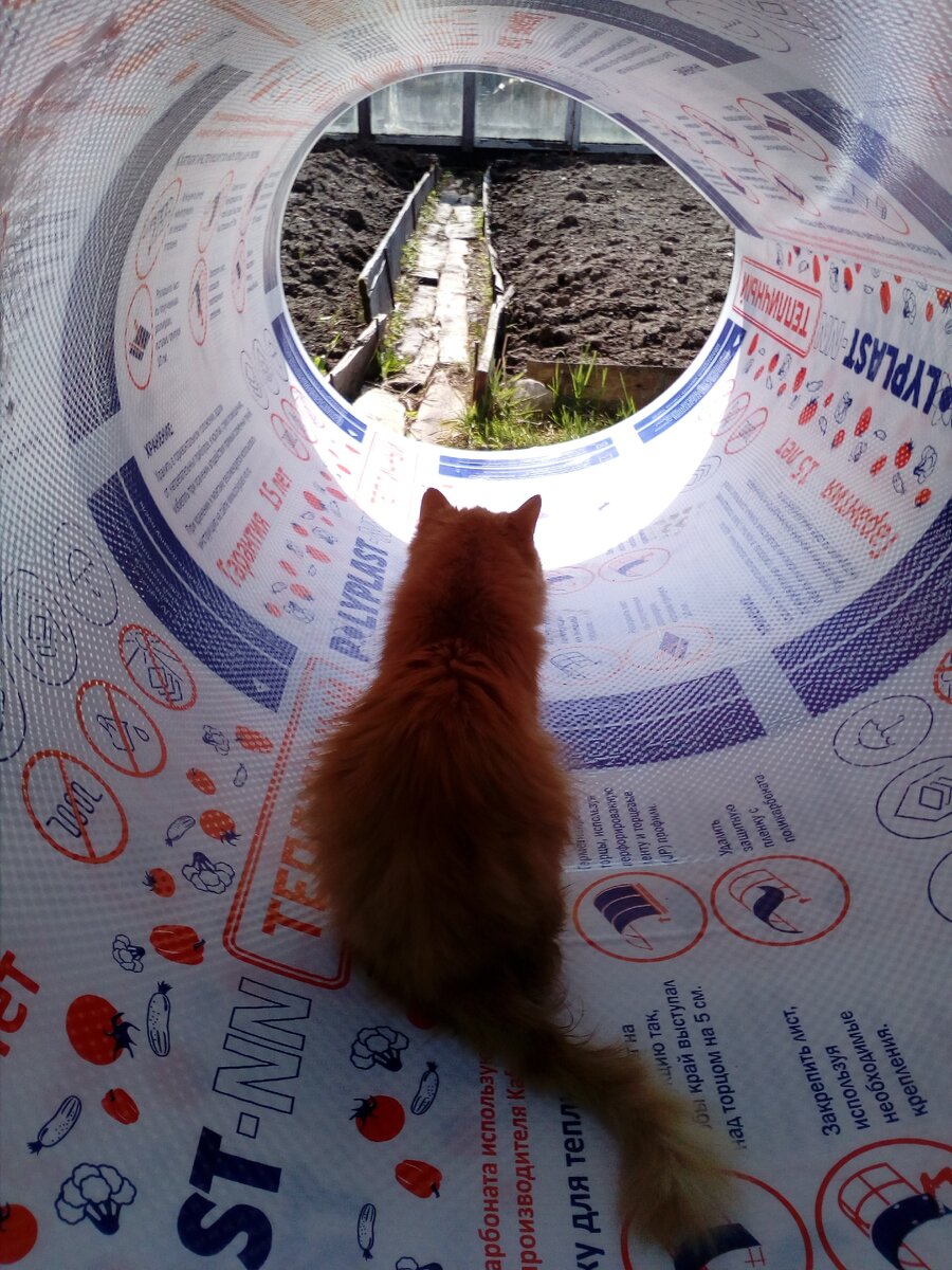 "Свет в конце туннеля" из личного архива фотофайлов. 