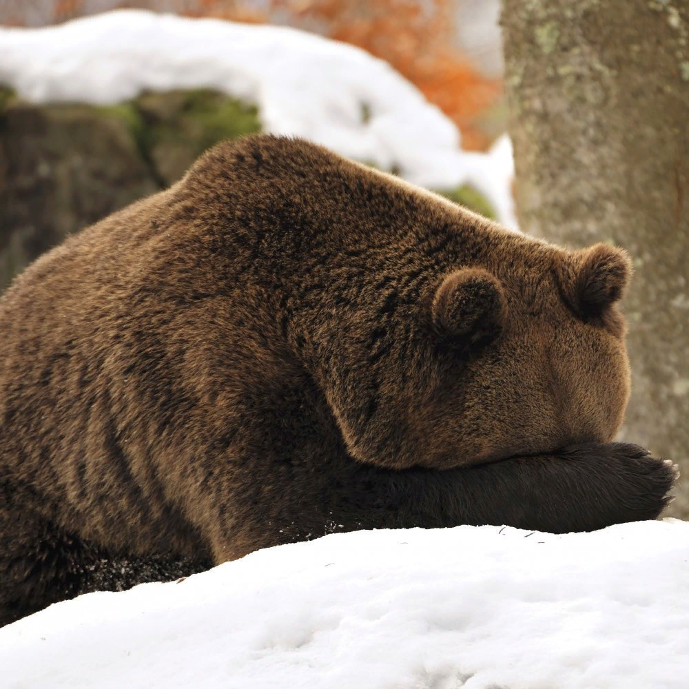 Источник:mindtools.com