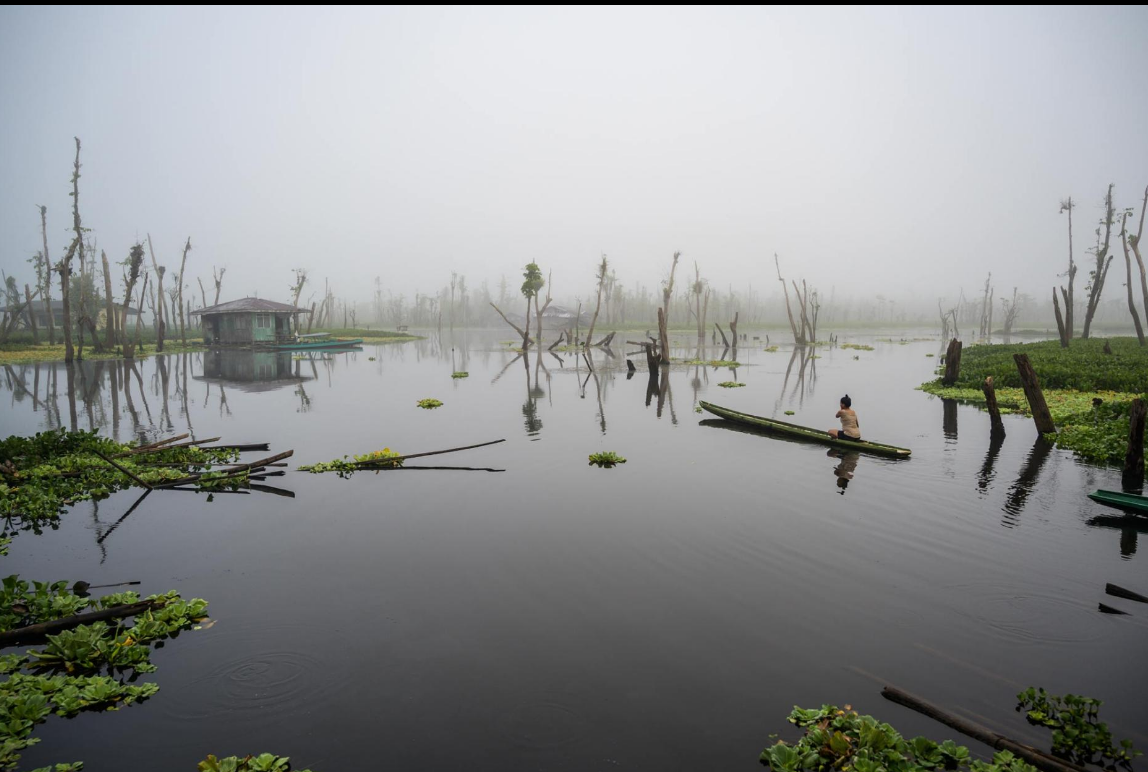 Водно-болотные угодья мира ускользают.