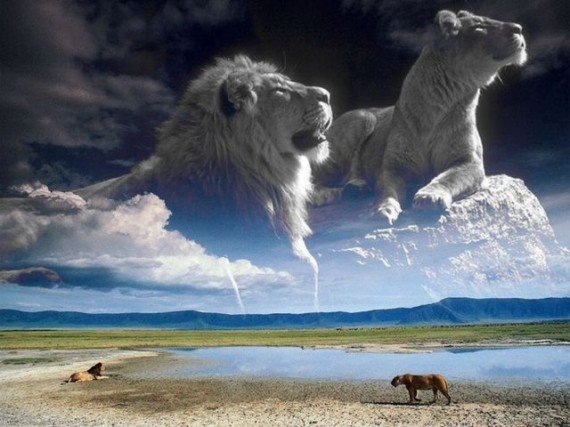 Довольные довольны, а недовольные не довольны