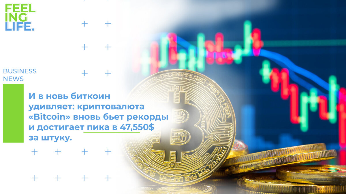 Feeling Life - инвестиция в знания