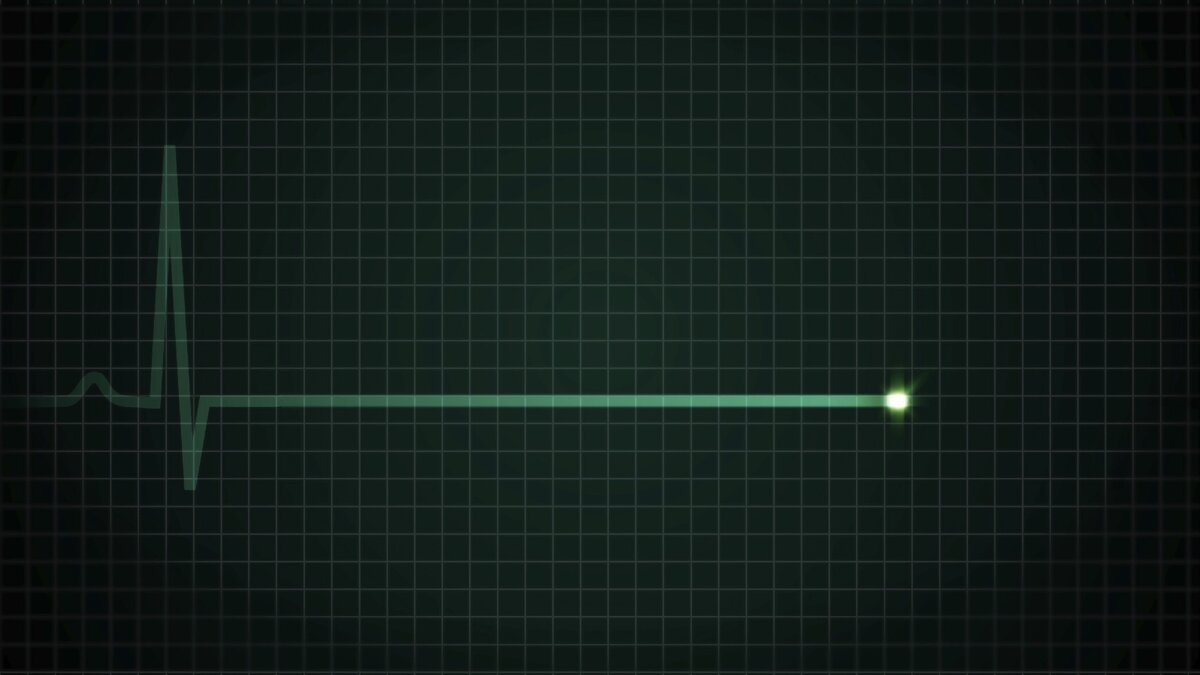 Картинка взята из открытых источников