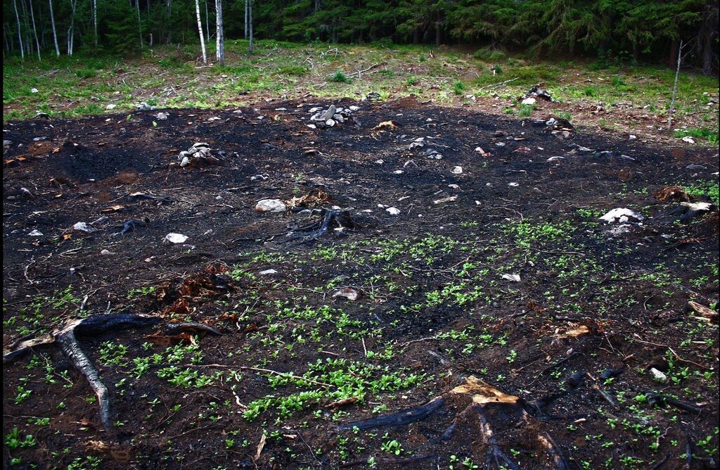 Вид страшноватый.