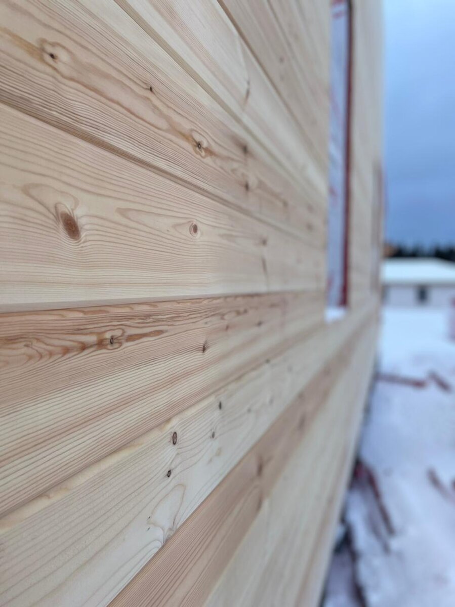 Текстура дерева. очень красиво.