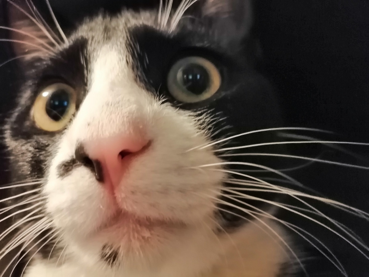 Фото из личных архивов.