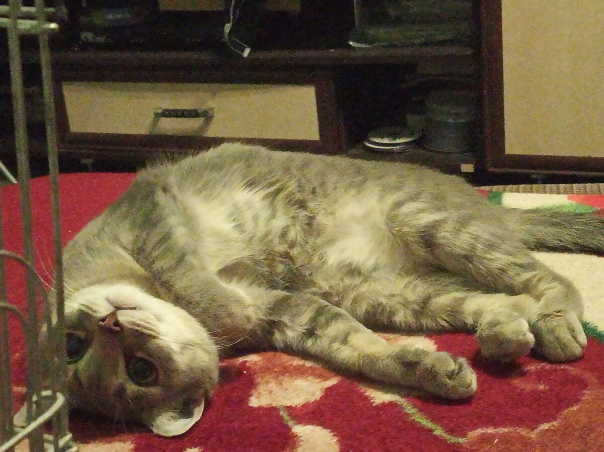 Так я люблю отдыхать💤