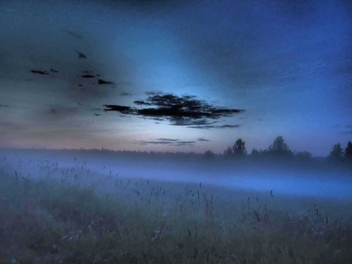 Бродить в туманах удаётся нечасто