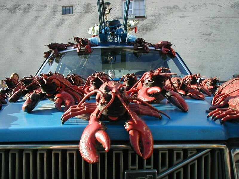 Картинка из интернета