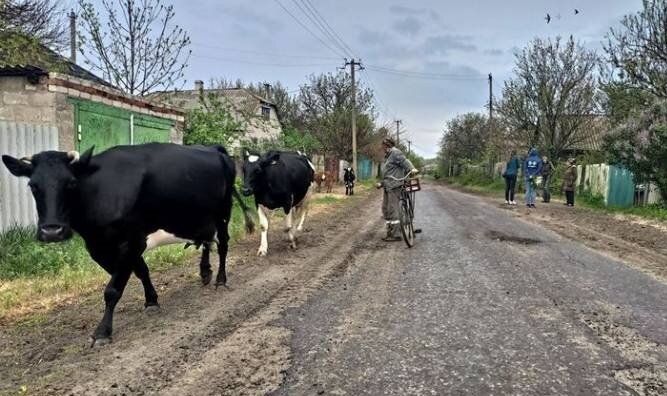 Улица российской деревни