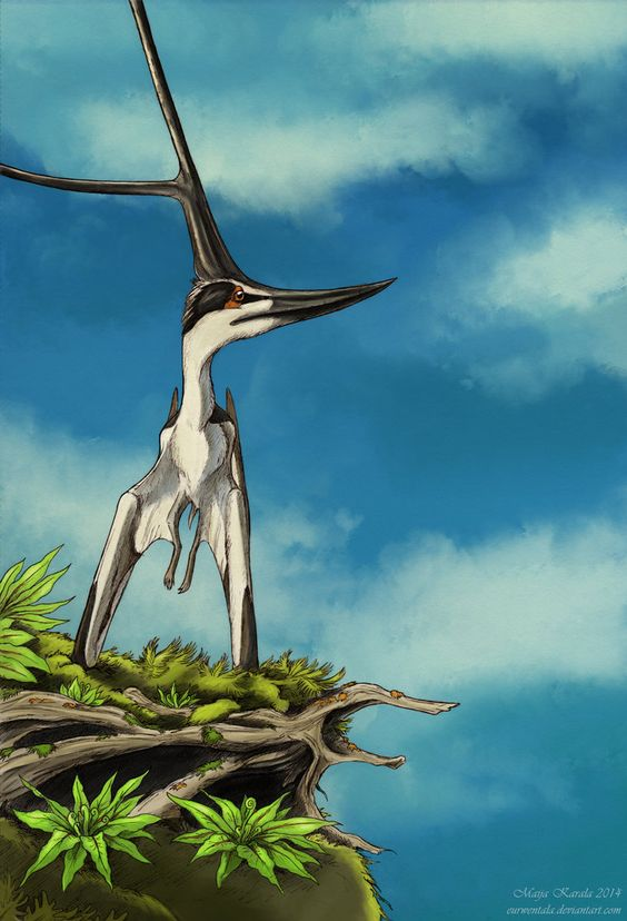 Серьёзно, как он это делает! 