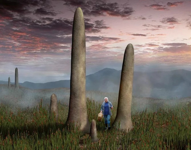 Ух, похлёбочка знатная выйдет, ещё и на закатки останется! 