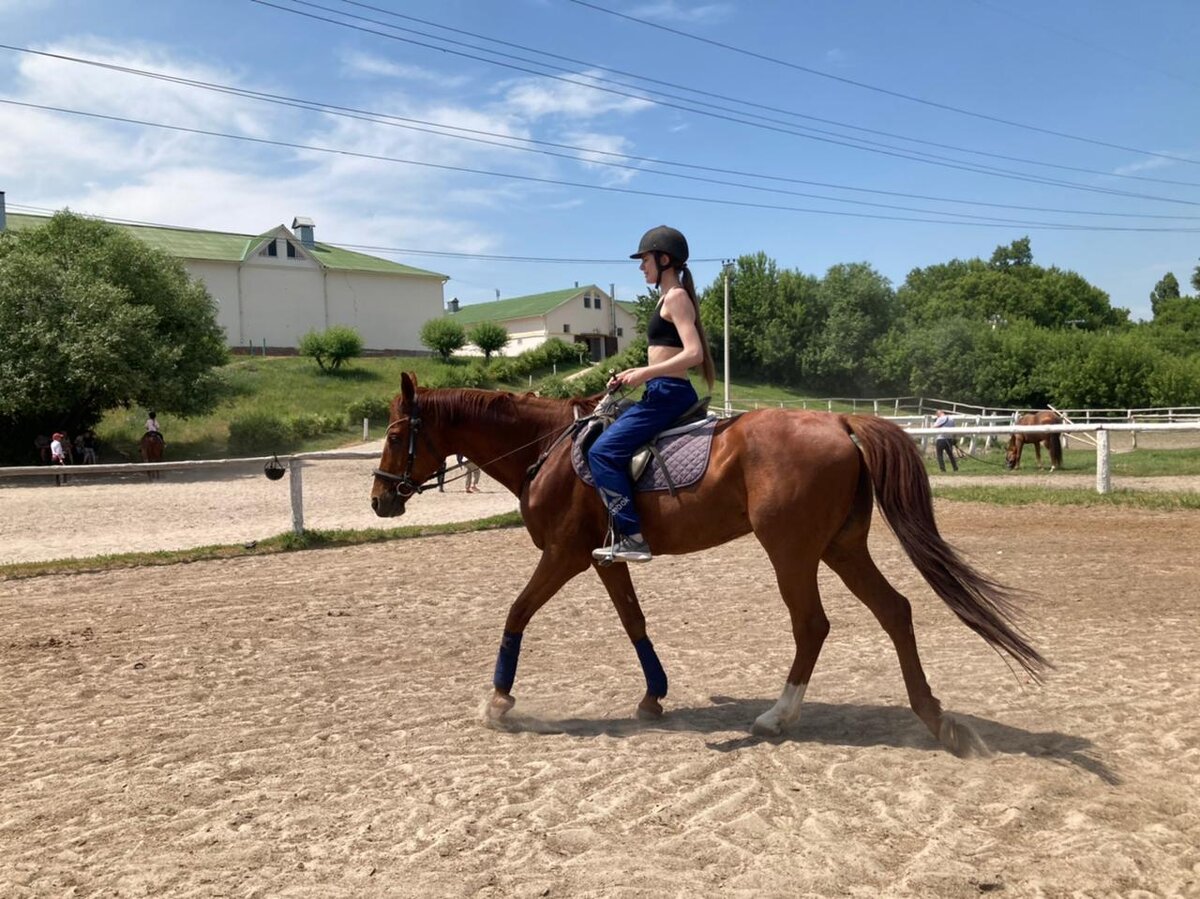  КСШ НИУ "БелГУ", г. Белгород