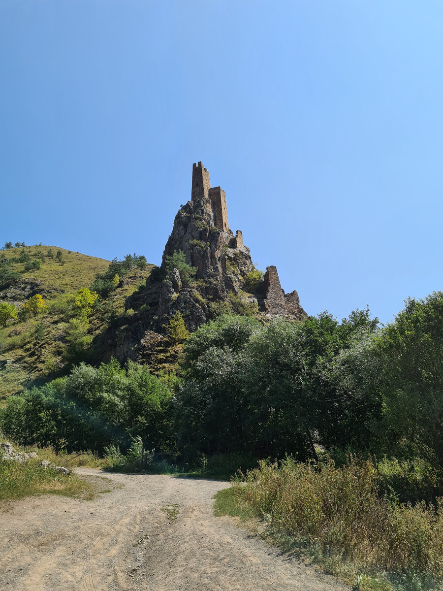 Вовнушки ==>