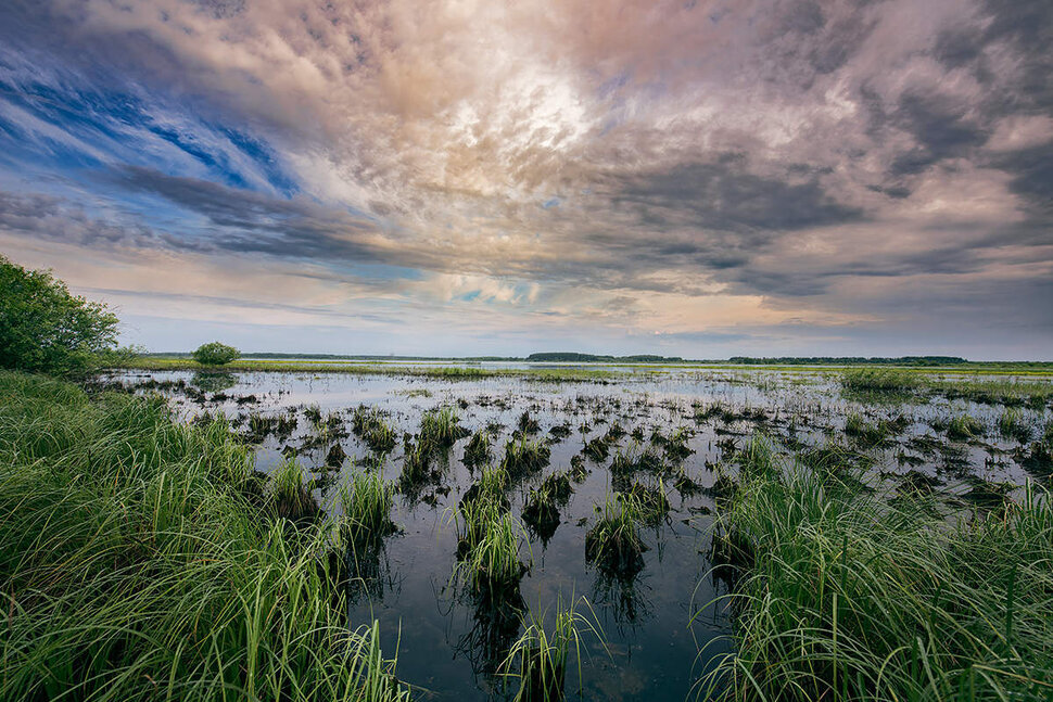 Болото - прекрасный поставщик природного газа. Возможно, в будущем нам придется использовать этот его источник.