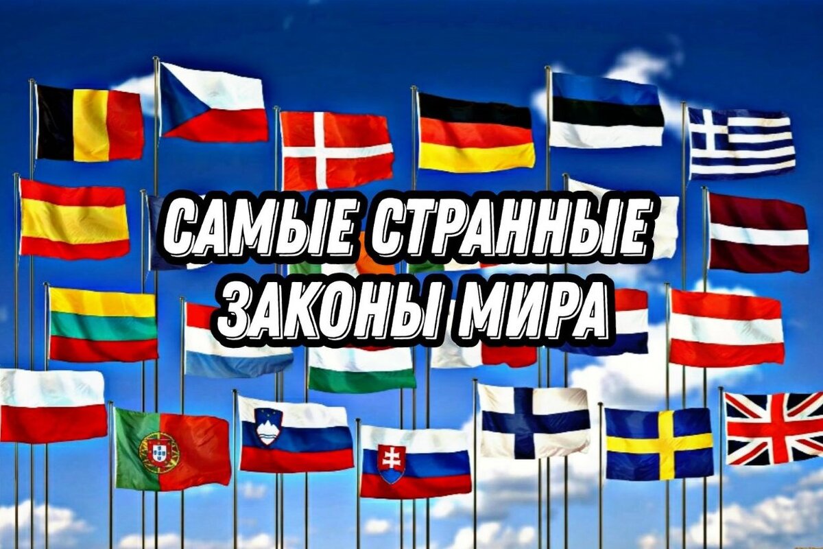 Подборка самых странных законов мира
