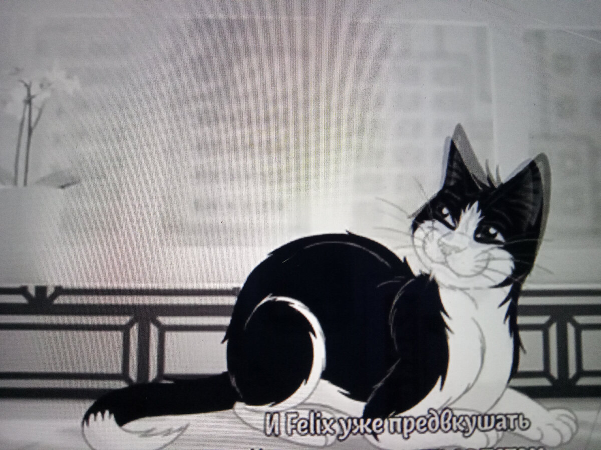 Фото автора. Сфотал планшет