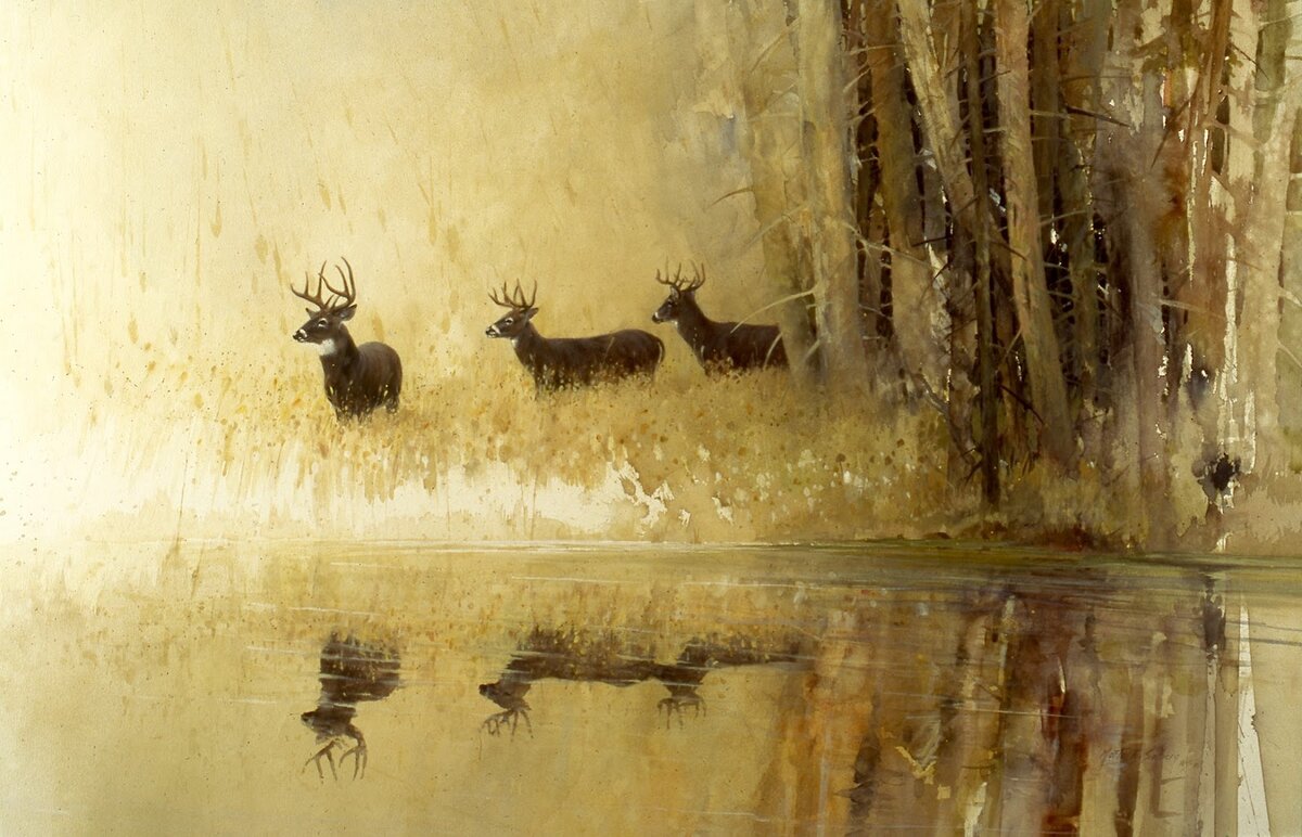 Мортен Солберг