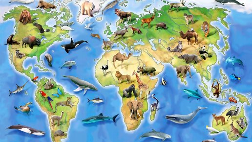 Животных представителей разных миров. Животные на одной картинке. Животных представителей разных миров. Животных представителей разных миров. Разнообразие видов животных.