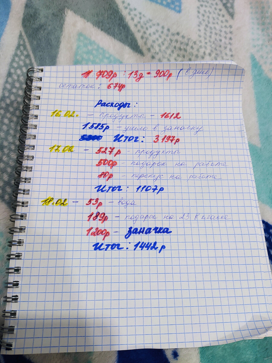 В предыдущем посте писала что завела тетрадь расходов и доходов.