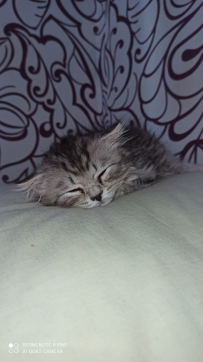 Вот такое оно, чудо... 