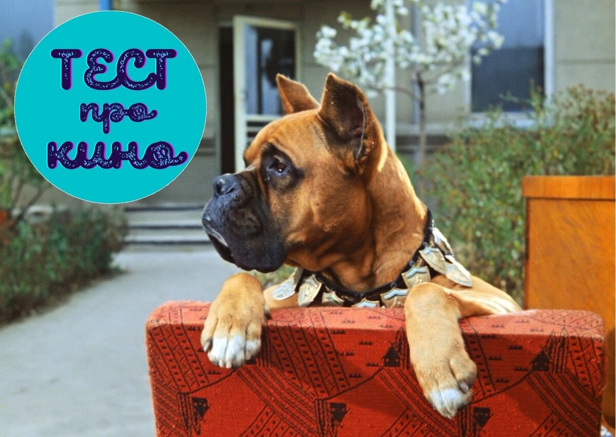 скриншот фильма, дизайн автора публикации