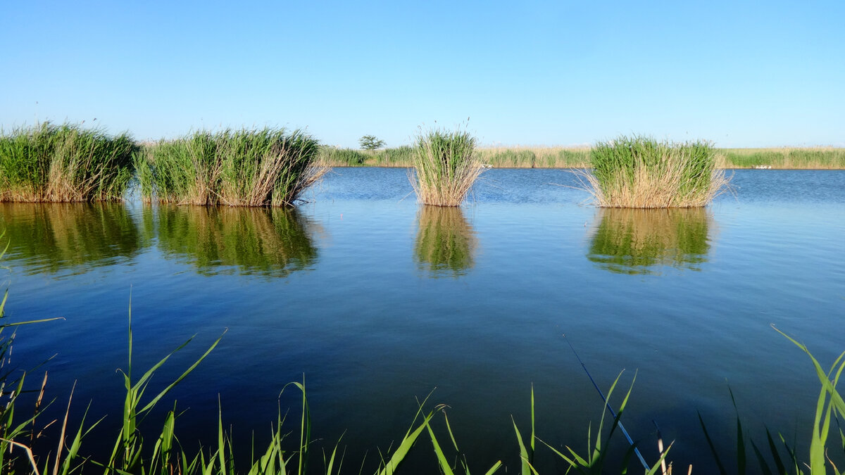 Фото автора.