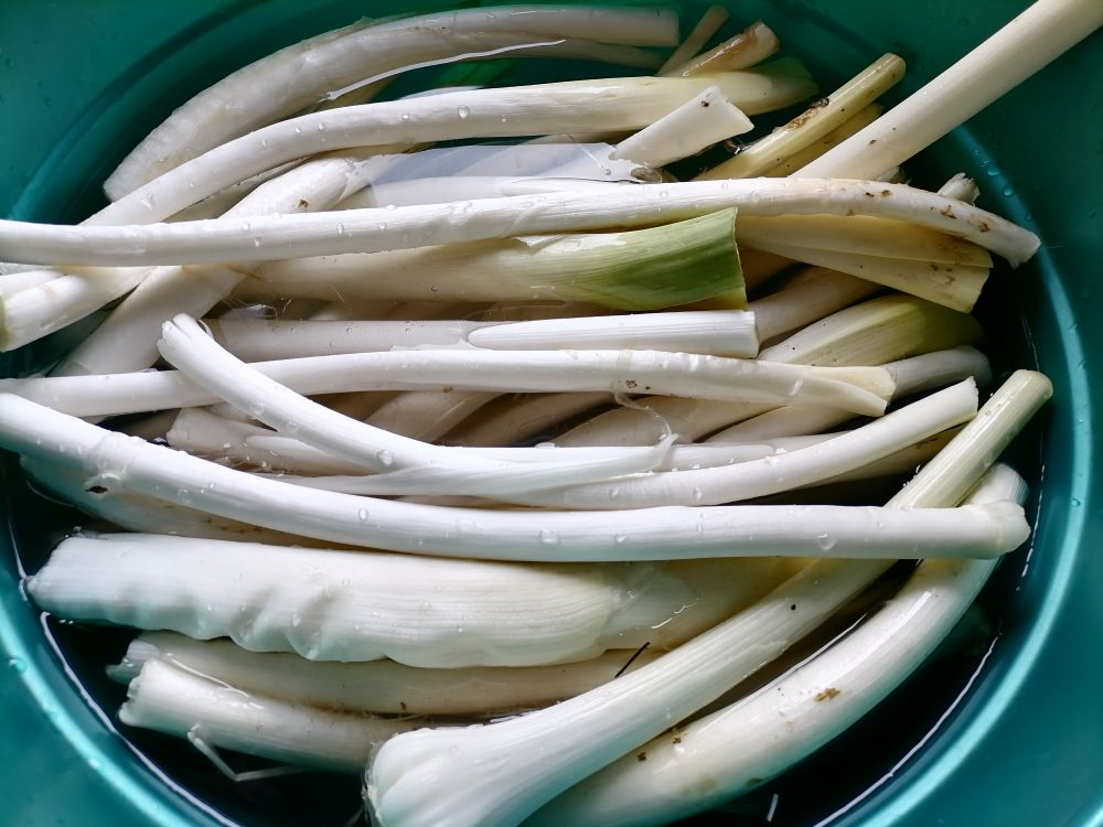 Порей очистила от гнили, корней и листьев, фото автора