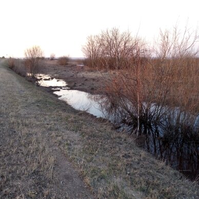 Весна.
