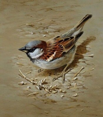 Цельная история по просьбе подписчиков.