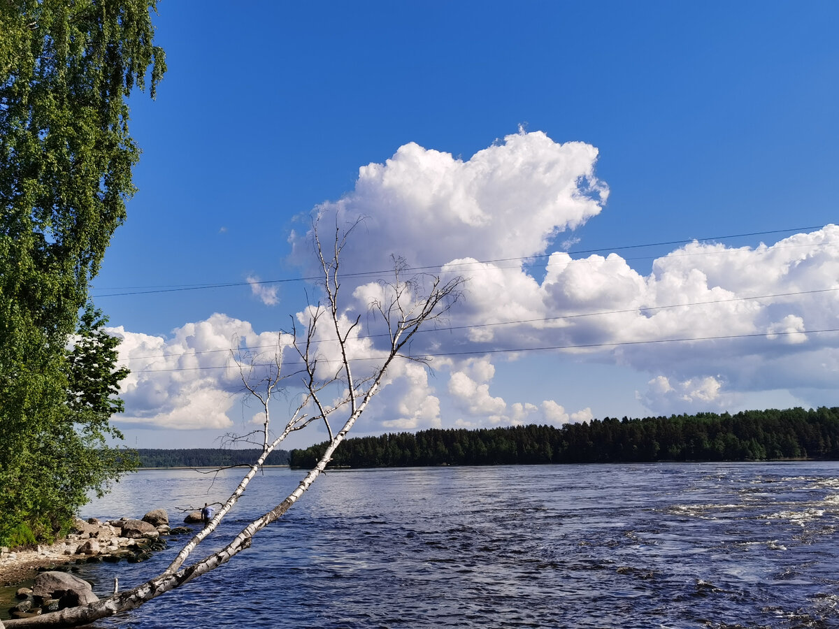 Много фоток Лосево-Лососево, Суходольское озеро, Вуокса. | Фото на ходу.  Вся Россия | Дзен