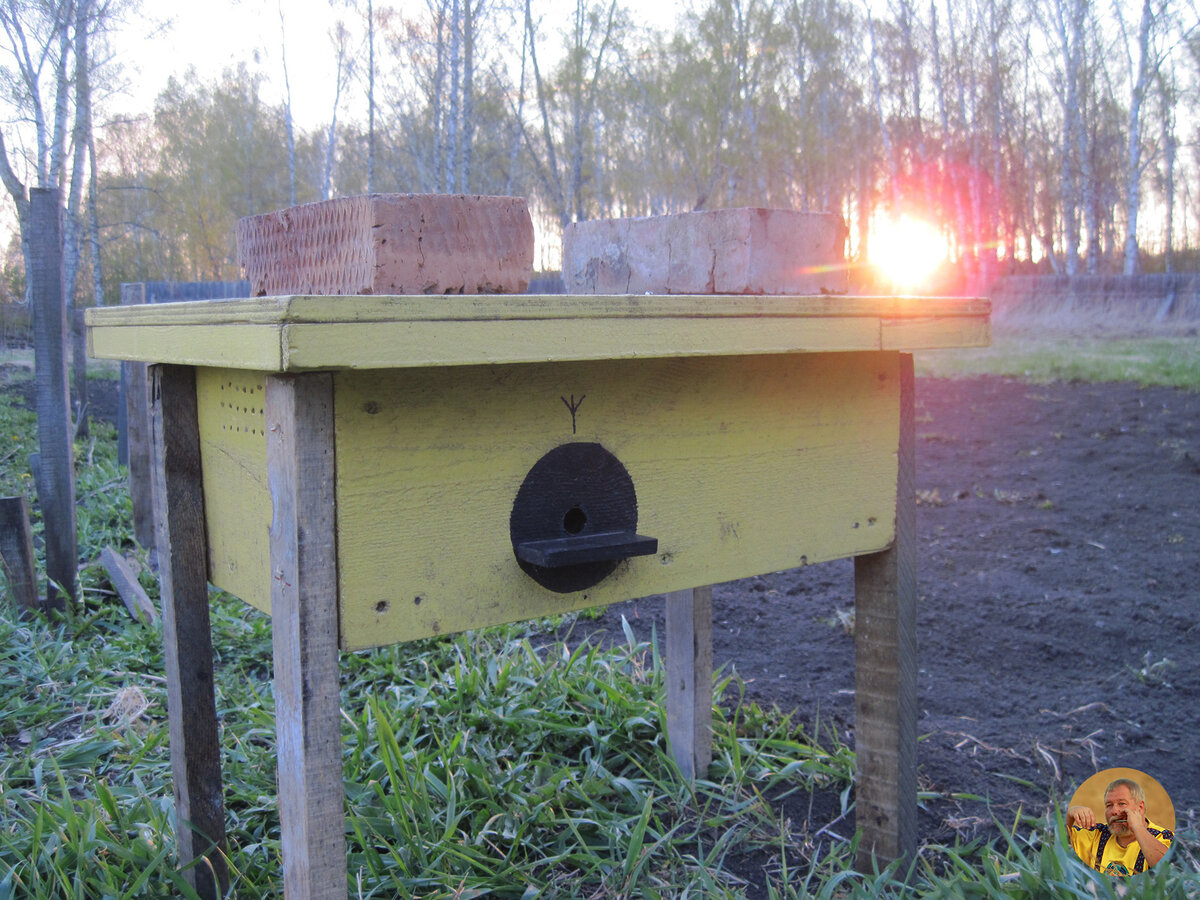 Мой первый улей для шмелей