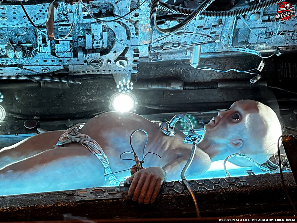 А это инопланетный объект номер один! Его вовсю исследуют, но удастся ли раскрыть тайны  существа?