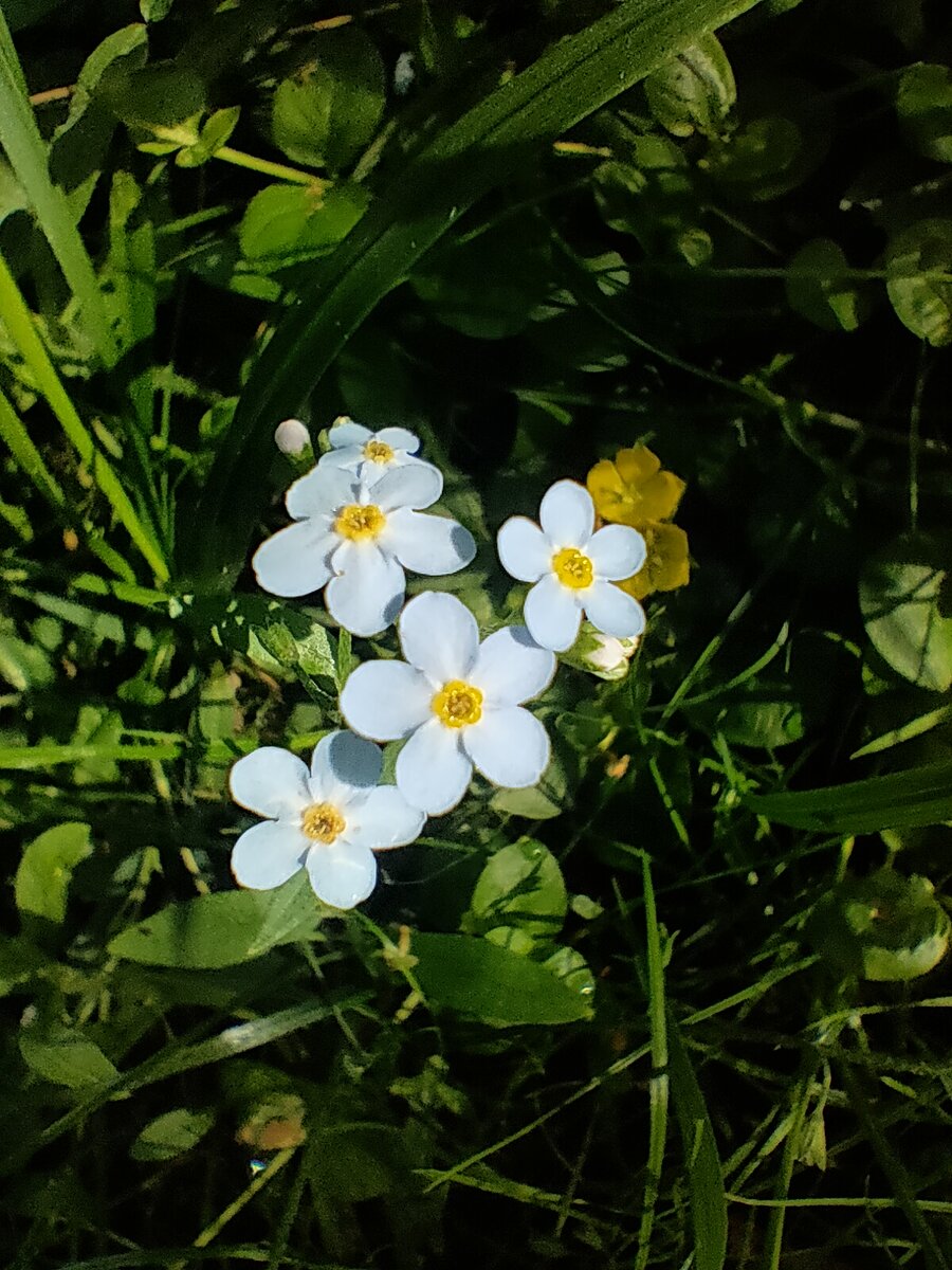 -2-2
