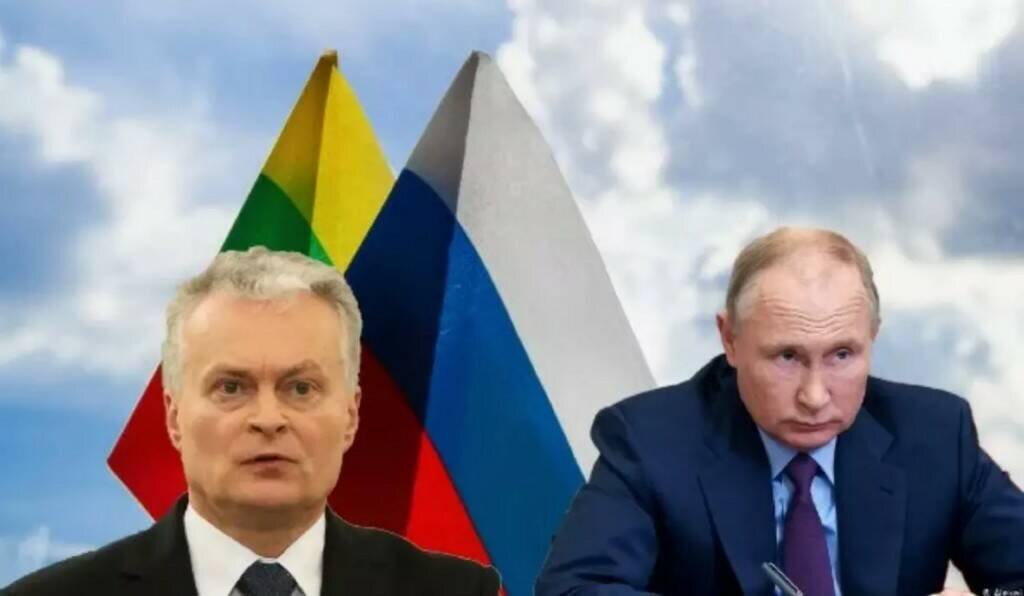 Автор: https://avatars.mds.yandex.net/get-zen_doc/3828869/pub_611d9fdf0da92c65b88b3426_611da0a0e3ce474bc52b65ed/scale_1200