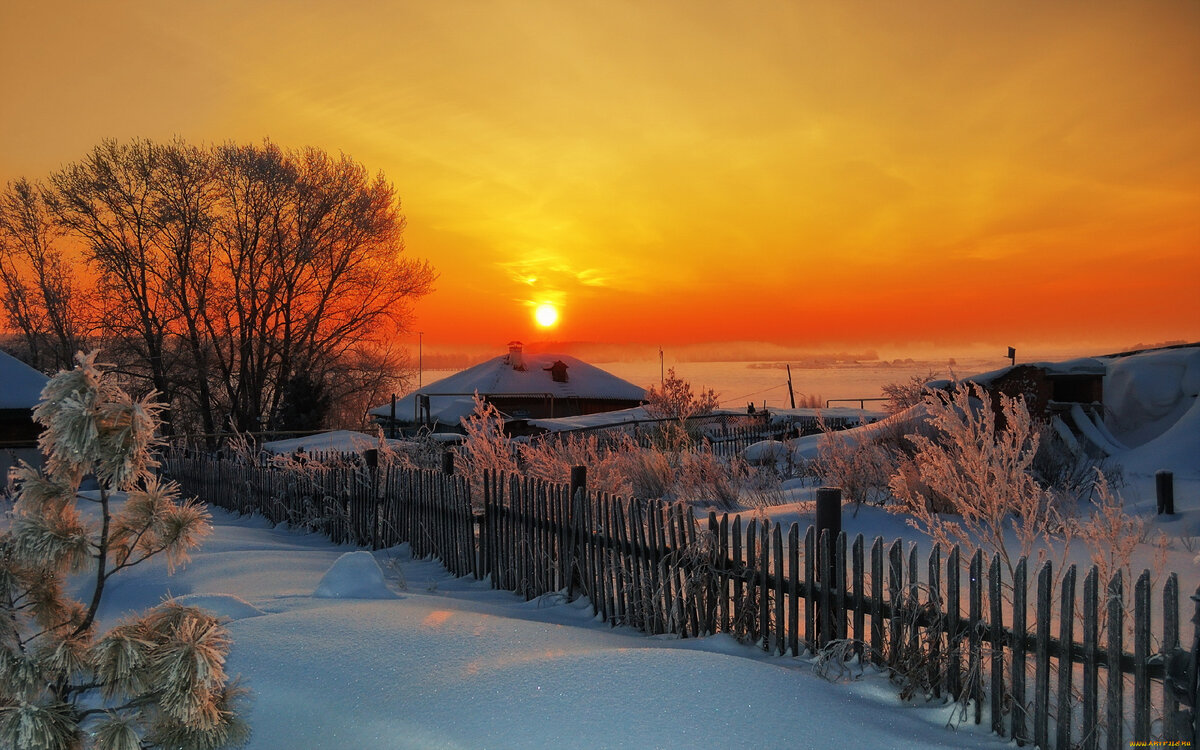 Яндекс картинки