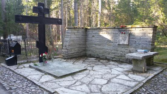 "На недельку до второго". Что смотреть туристу в Комарове? ТОП-5 достопримечательностей
